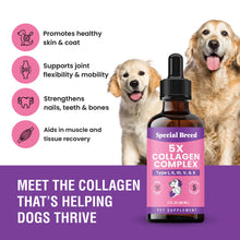 Load image into Gallery viewer, Premium Collagen for Dogs - Liquid Support for Joints, Skin, Coat, Bone, Immune System & HIPS - Collagen Supplement - Made in USA - 2oz