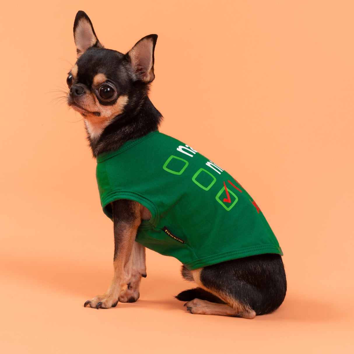 Fitwarm Naughty or Nice Christmas Dog Shirt, Dog Christmas Outfit for Small Dogs Boy Girl, Funny Doggy Tshirt, Pet Outfit, Green, Red, White, XXL