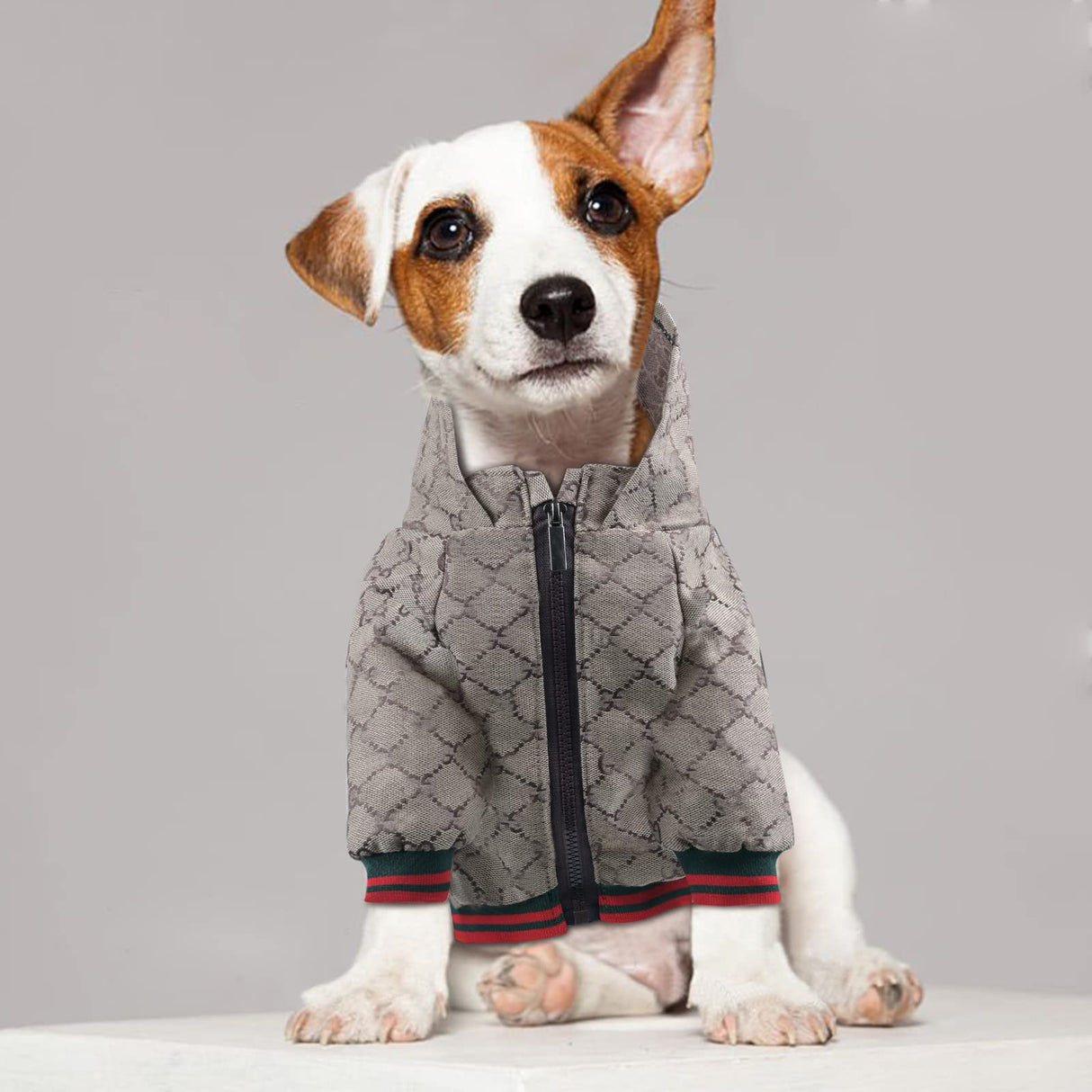 Dog Hoodie Classic Designer Puppy Coat Luxury Puppy Clothing Warm Pet Dog Coat Zipper Design Easy On/Off Teddy Clothing Chihuahua Clothes French Bulldog Clothes S