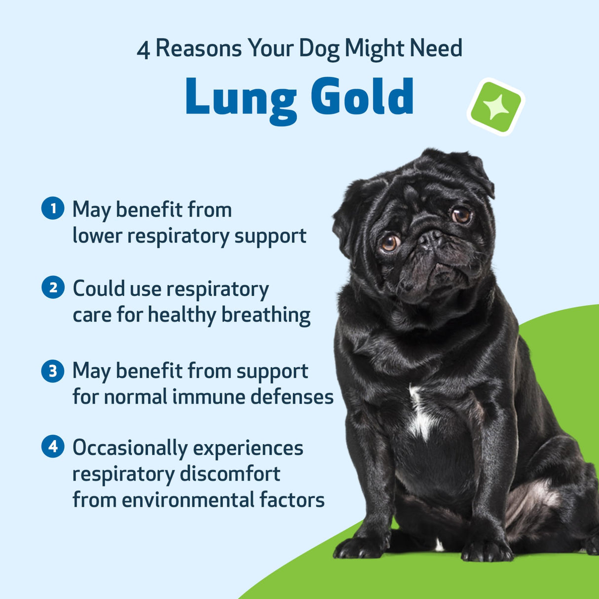 Pet Wellbeing Lung Gold for Dogs - Respiratory Support for Canine Lungs, Healthy Immune Defenses, Lower Respiratory Tract - NASC Certified & Vet-Formulated - 2 oz Liquid
