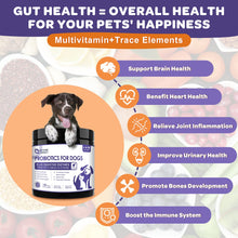 Load image into Gallery viewer, NATURE TARGET Probiotics for Dogs, 6 Billion Freeze Dried Dog Probiotics with Prebiotics & Enzymes, Vitamins, Omega 3, for Digestive & Gut Health, Itch Relief, Reduce Diarrhea, 120 Bites
