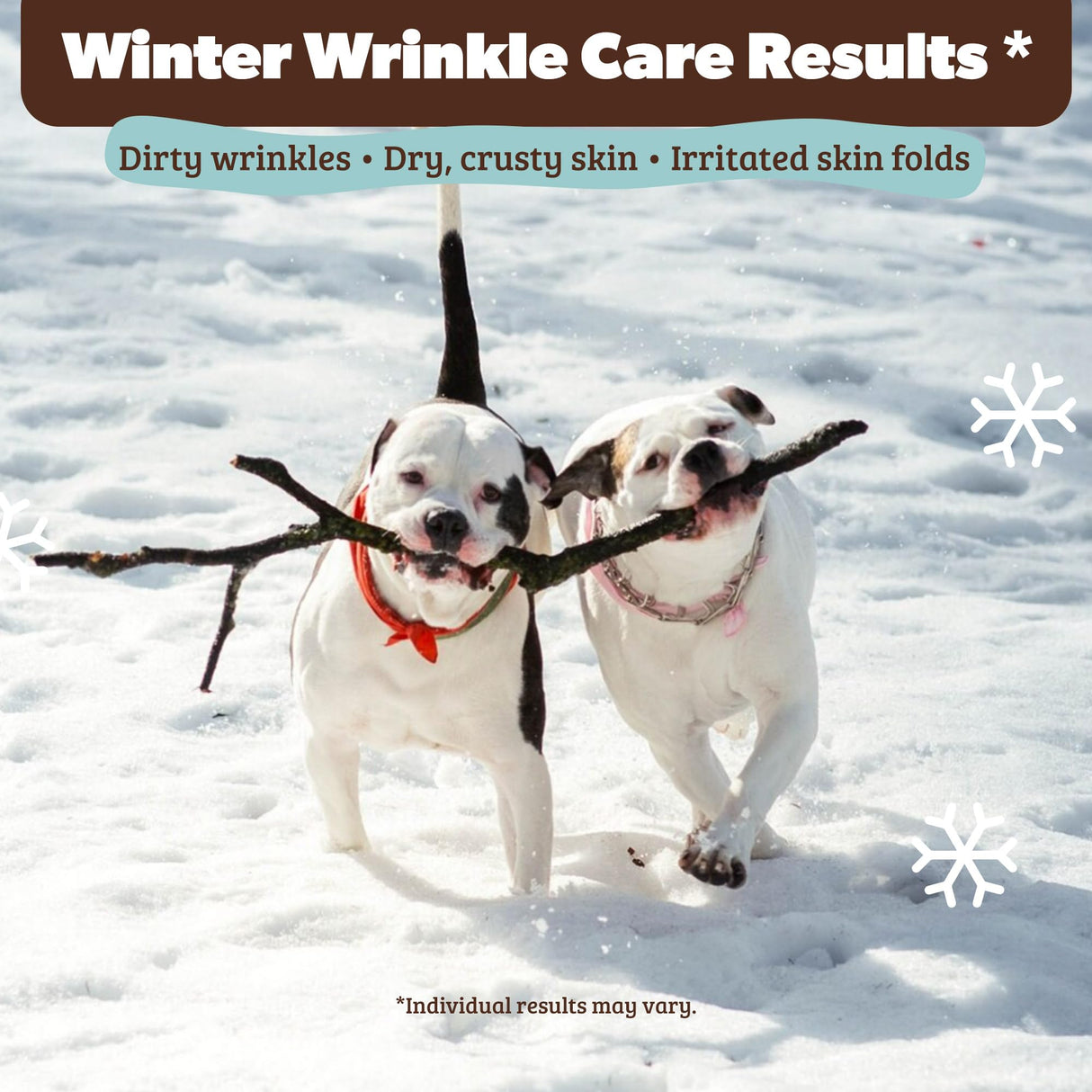 Natural Dog Company Wrinkle Balm for Dogs – Dog Wrinkle Balm for Skin Folds, Facial Creases & Wrinkles, Lick-Safe Wrinkle Cream for Bulldogs, Pugs & Bully Breeds, Daily Winter Skin Care, 4 oz Tin