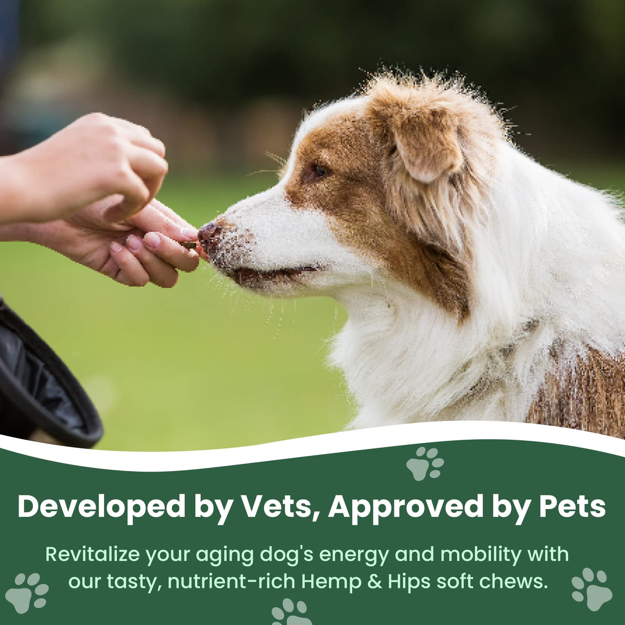 Veterinary Naturals Hemp & HIPS Joint Supplement for Dogs/Supports Relief from Hip and Joint Pain in Large, Aging Dogs (Regular, Beef & Bacon)