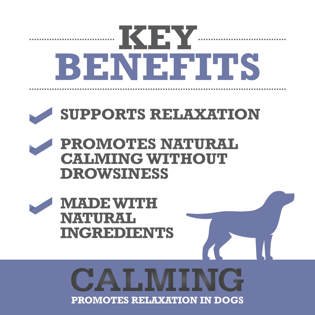 WINPRO Calming Chews for Dogs – Plasma-Powered Soft Chews to Promote Relaxation and Calming Effect – Made with Natural Ingredients, Grain-Free - Suitable for All Breeds & Sizes – 60 Count