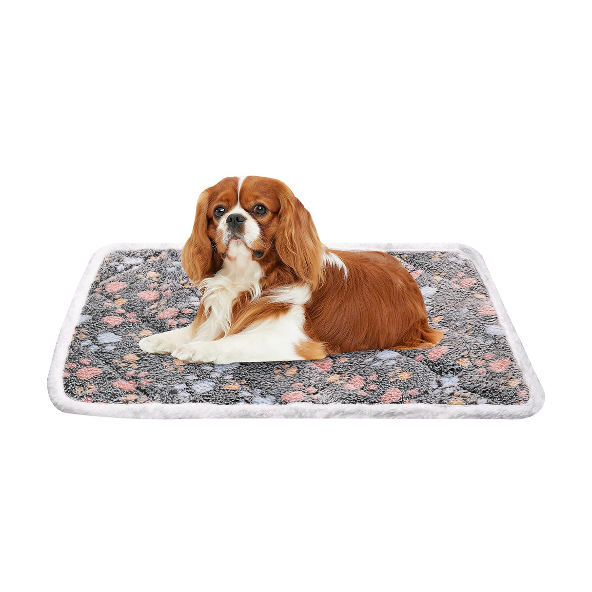 Dekeyoo Dog Crate Mat, Soft Reversible Pet Bed Pad with Short Plush, 60x90cm, 2cm Thick, Machine Washable Mat for Small Dogs and Cats, Fits 90cm Crates