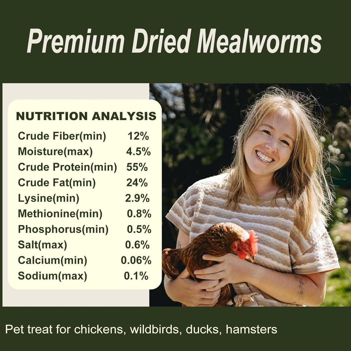 Adaman Dried Mealworms -5 LBS- 100% Natural High Protein Mealworms - Bulk Meal Worms for Blue Birds, Chickens, Ducks - Best Chicken Treats, Bird Food, Turtle Food