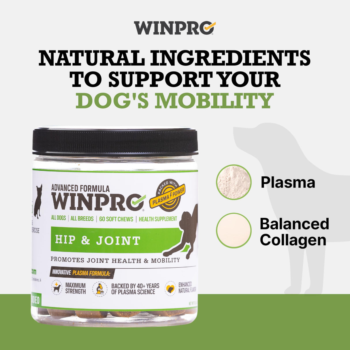 WINPRO Hip & Joint Supplement for Dogs - Plasma Powered Soft Chews for Joint Health & Mobility – Fast-Acting with Collagen & Natural Ingredients for Dogs of All Breeds – 60 Chews