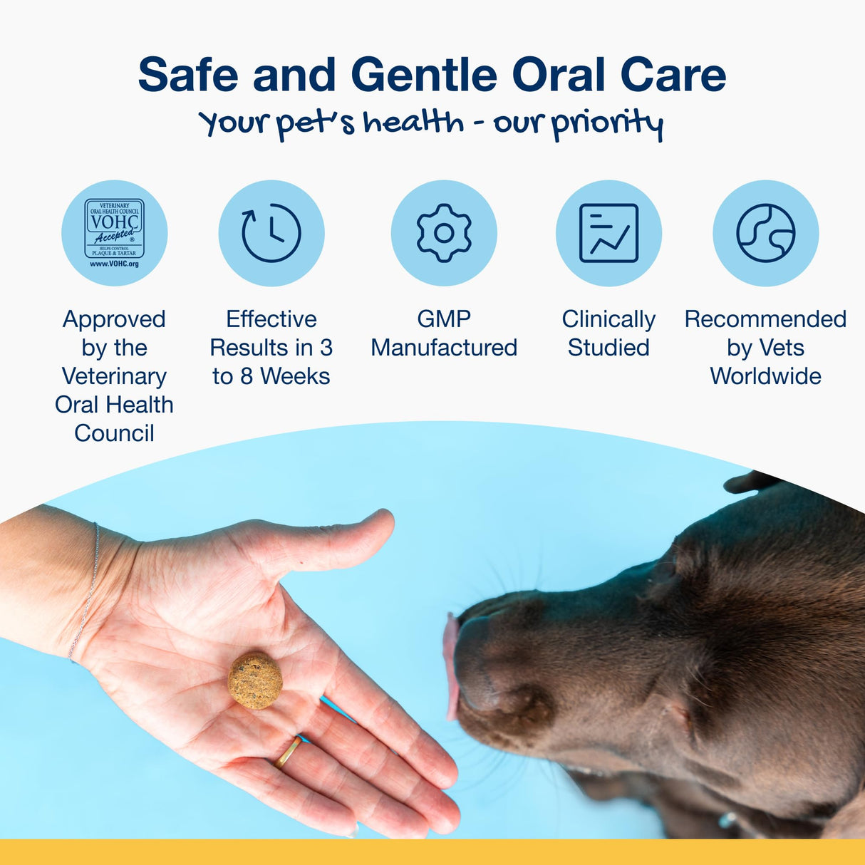 ProDen PlaqueOff Soft Chews with Natural Kelp - for Large & Giant Breed Dogs - Supports Normal, Healthy Teeth, Gums, and Breath Odor in Dogs - 90 Soft Chews
