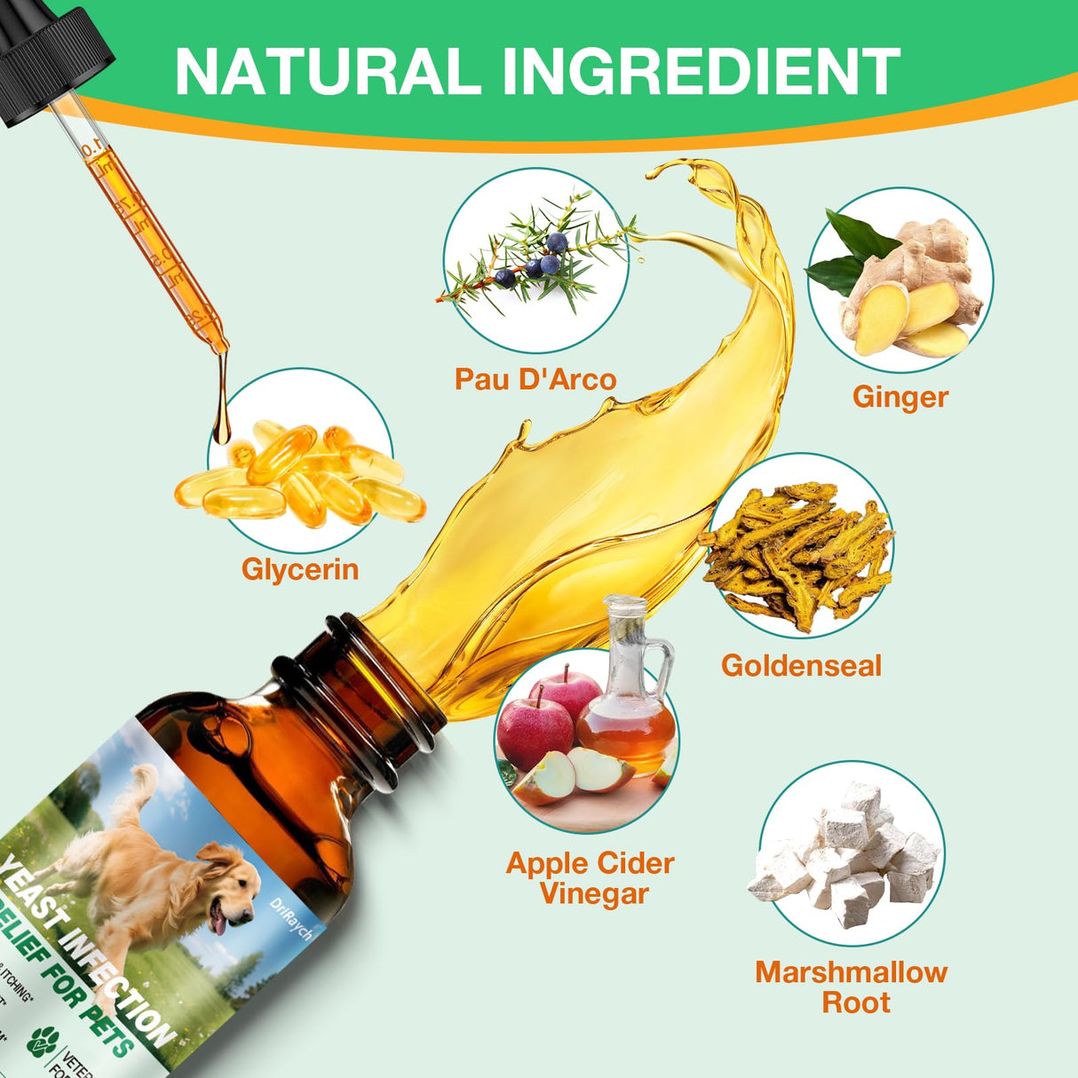 Yeast Infection Treatment for Dogs, Natural Dog Yeast Infection Treatment, Ear & Skin Itch Relief, Reduces Inflammation & Irritation, Herbal Dog Supplement Drops with Probiotics & Multivitamins, 2 FL