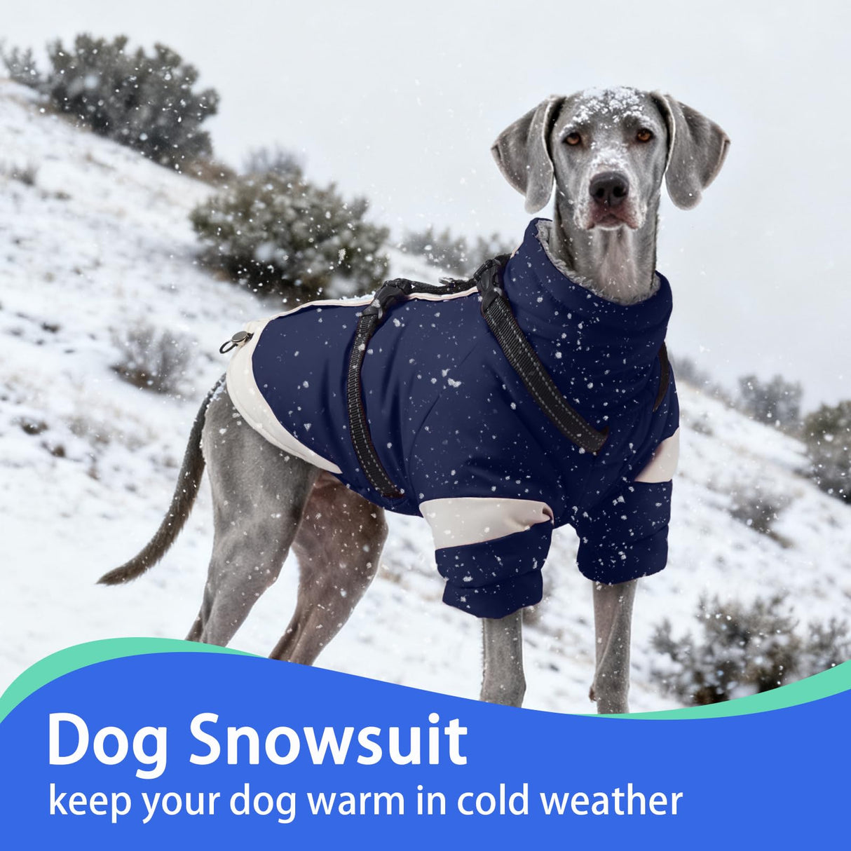 MIGOHI Waterproof Dog Coat with Harness Adjustable Dog Jacket Pet Winter Coat with Zipper,Christmas Small Fleece Jacket for Small Dogs,Extra Long Sleeves Warm Winter Snowsuit for Dogs,M,NavyBlue