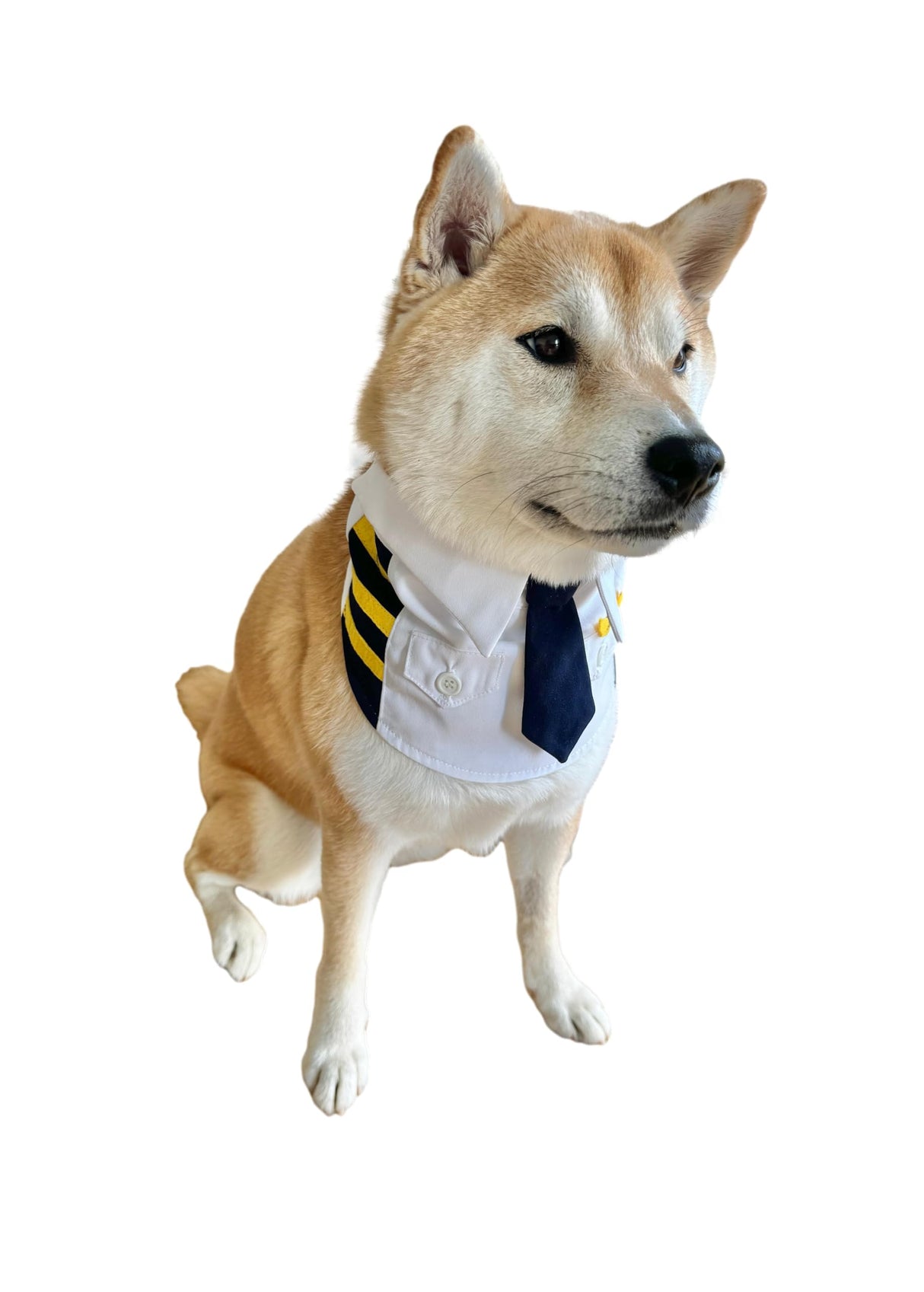 ComfyCamper Dog Pilot Costume Neckband - Captain Tie Collar Small Large XLarge XXL Cosplay Halloween Costumes, L