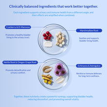 Load image into Gallery viewer, Cranberry for Dogs - 90 Soft Chews - Urinary Tract Support, Bladder Health, Dog UTI, Bladder Stones, Incontinence Support (Soft Chews)