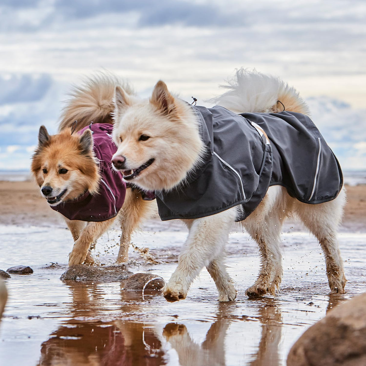 Hurtta Mudventure ECO Dog Coat, BlackBerry, 10 in