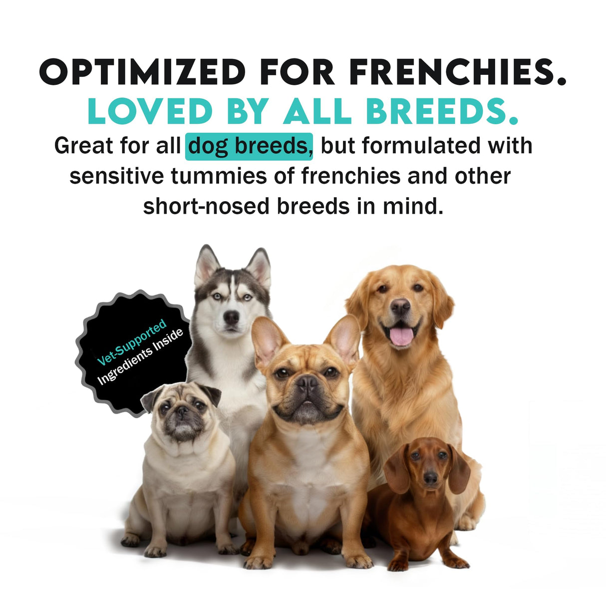 Dog Teeth Cleaning Powder–Natural Dog Dental Powder for Teeth Cleaning, Breath Freshener & Plaque Remover–Tartar Control, Oral Care &Bad Breath Treatment-French Bulldog Optimized Great for all breeds
