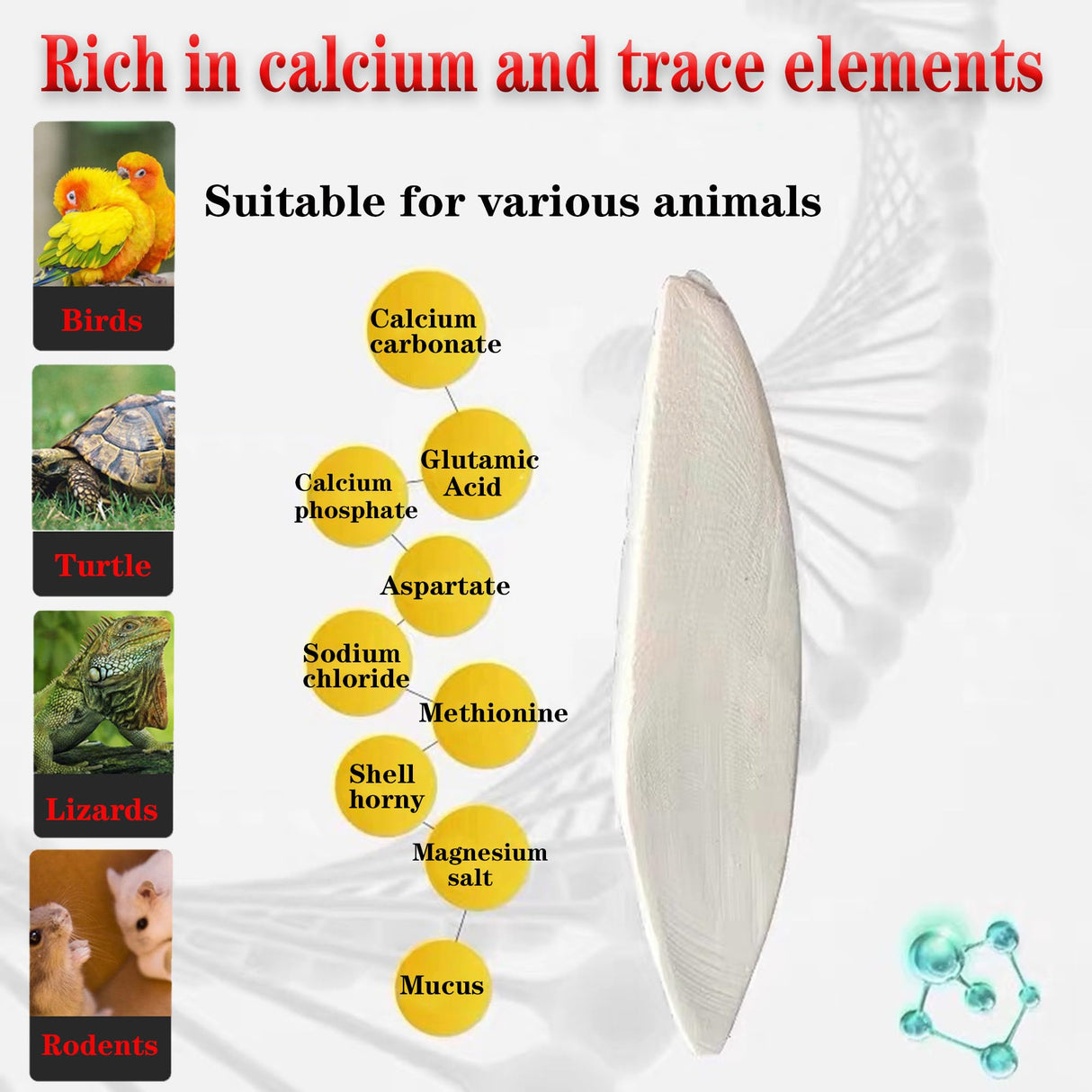 Clyairmao Bird Cuttlebone for Parakeets Cuttlebone for Birds - 100% Natural Cuttlefish Bone Bulk Chew Toy Bird Bites Calcium Stone for Canaries Tortoises,Snails,Reptiles,Parrots,Cockatiel