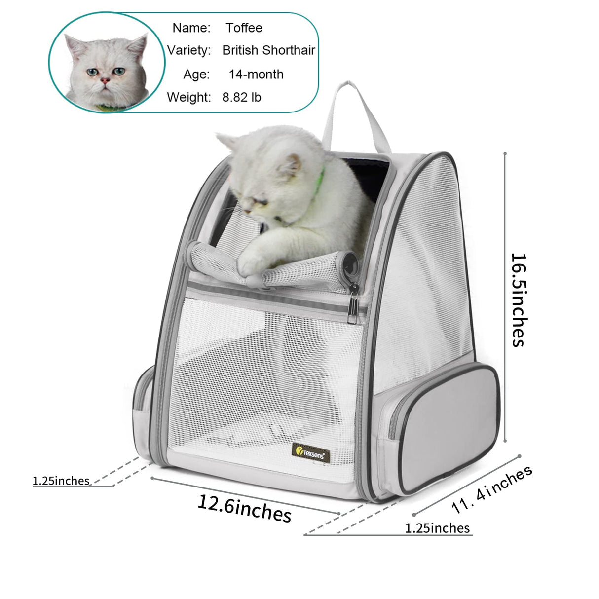 Texsens Pet Backpack Carrier for Small Cats Dogs | Ventilated Design, Safety Straps, Buckle Support, Collapsible | Designed for Travel, Hiking & Outdoor Use (Light Gray)