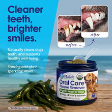 Load image into Gallery viewer, Dog Teeth Cleaning Powder, Dog Plaque and Tartar Remover, Bad Breath Treatment for Dogs with USDA Organic Sea Kelp Powder, Dog Dental Care Made Easy, for All Ages, 6oz