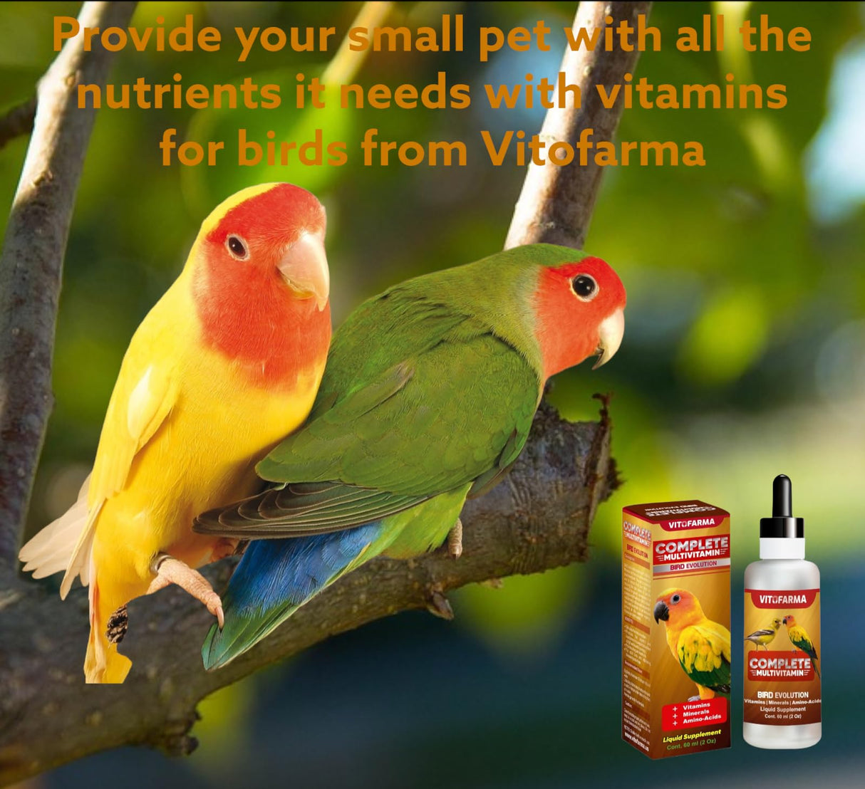 VITOFARMA Multi-Vitamin for Birds, High-Potency Vitamin & Mineral Supplement for Pet Birds 2.0 Ounce