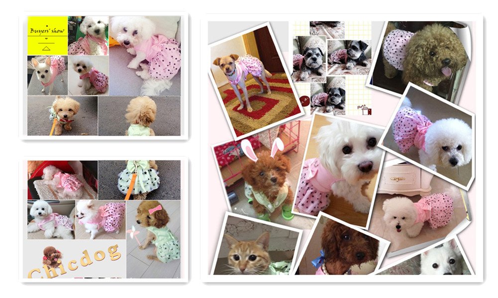 Hdwk&Hped 2-pck Small Dog Dress with Leash Ring, Pentagram Bow Multi-Layer Princess Dog Dress Puppy Cat Walking Dress Pink Green #4