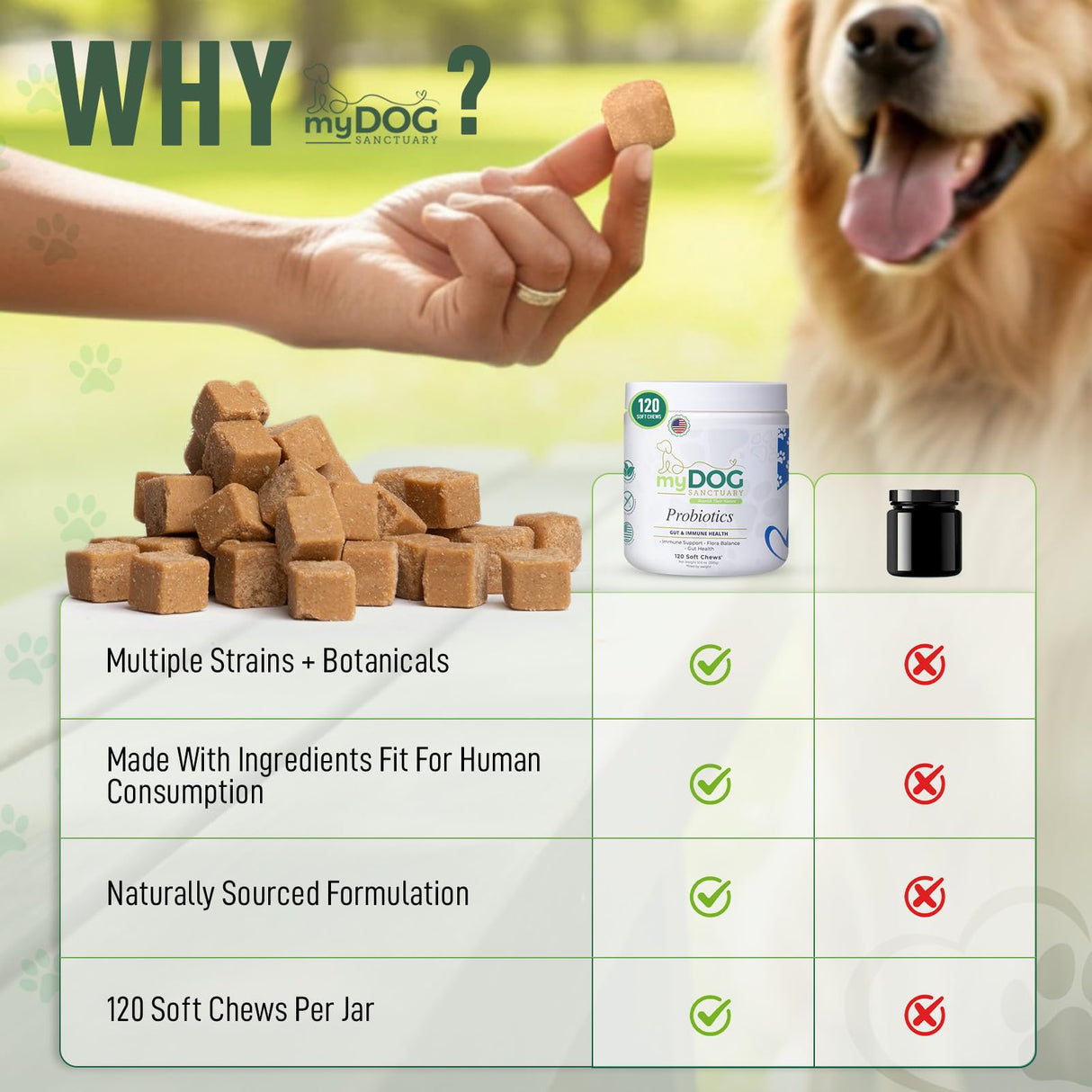 My Dog Sanctuary Probiotics for Dogs 120 Chews - Digestive Enzymes & Gut Health Support with Pumpkin Seed, Ginger Root – Dog Probiotics for Diarrhea, Bowel & Immune Support - Bacon Flavor, Soft Chews