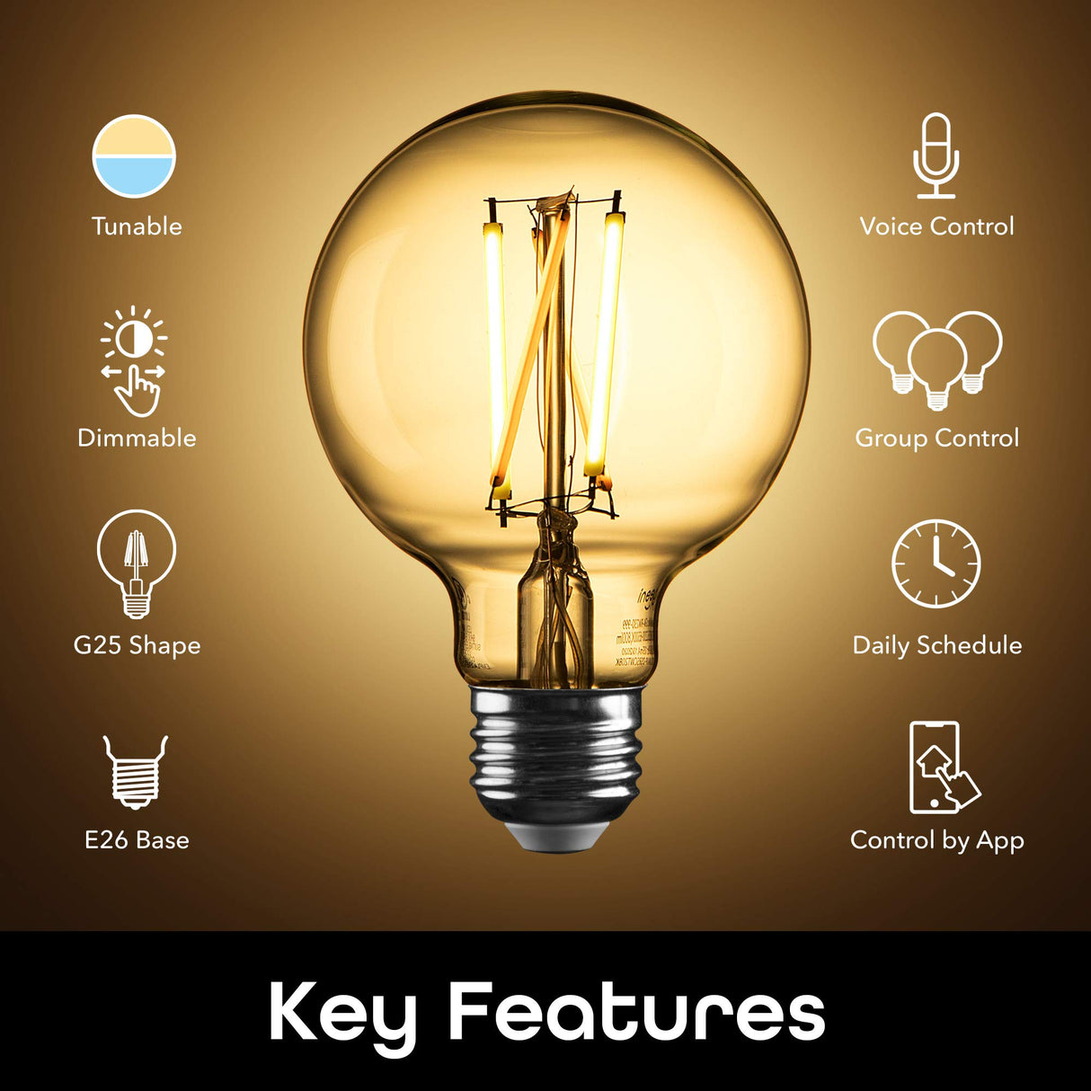 Geeni Smart Light Bulb - Alexa and Google Home Compatible, Tunable White LED Programmable and Dimmable WiFi Light Bulb, App Controlled (G25-2 Pack)