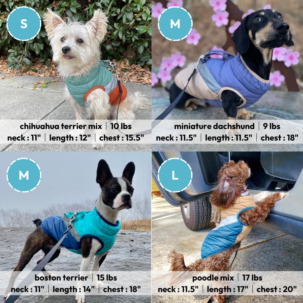 Gooby Mountaineer Dog Jacket - Mint, X-Small - Warm Zip Up Coat with Lift Handle and Dual O Ring Leash Water Resistant for Small to Medium Dogs