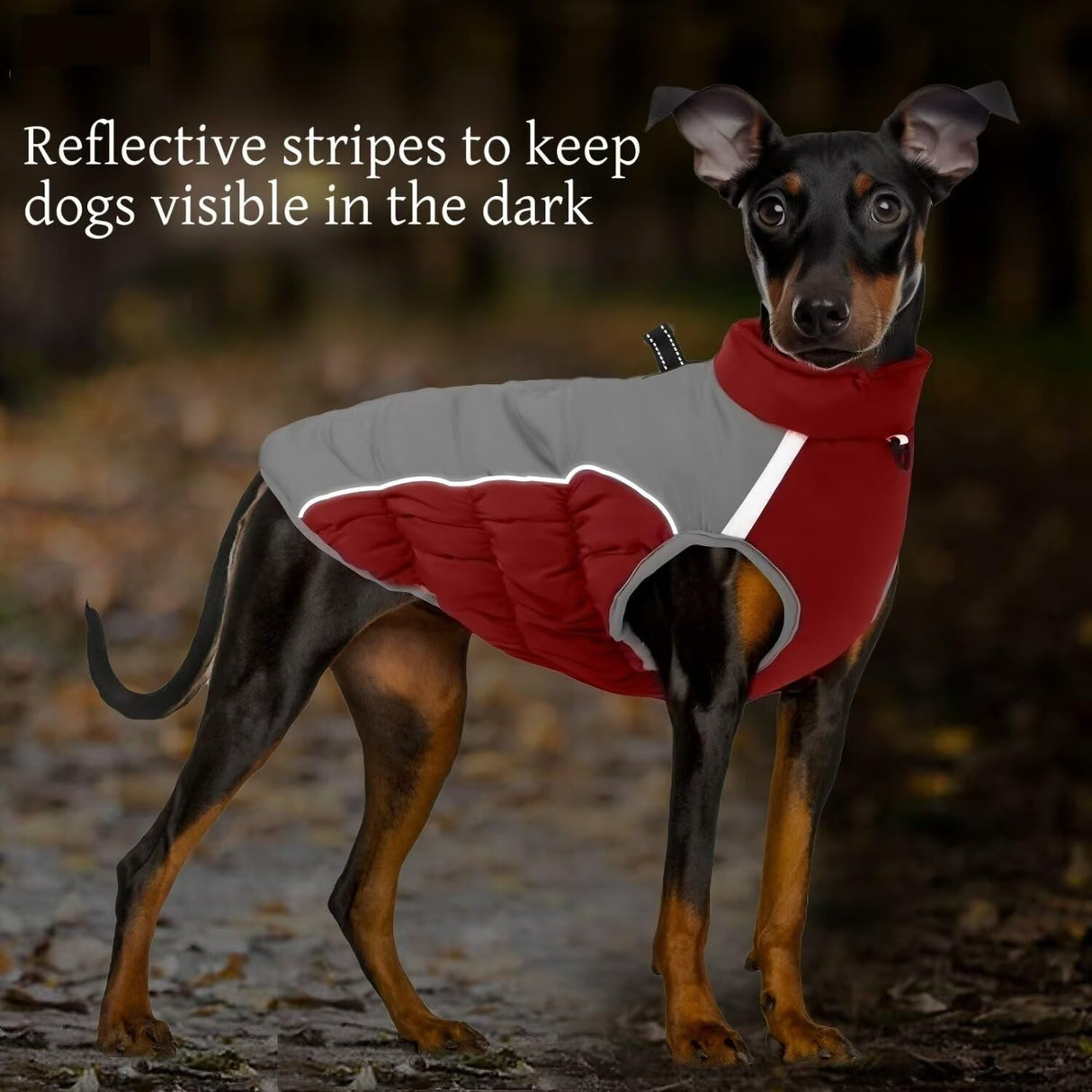 Hey Point Warm Dog Winter Coat Waterproof Dog Jacket Windproof Pet Clothes Reflective Cat Vest Puppy Clothes Kitten Clothing for Small Medium Large Doggie (Red, 2XL)
