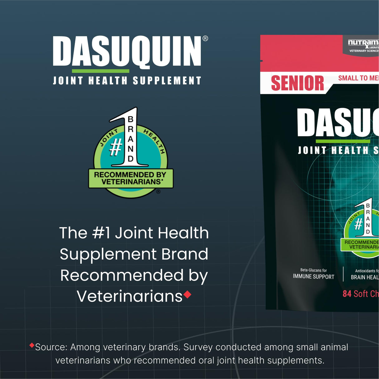 Nutramax Dasuquin Joint Health Supplement for Small to Medium Senior Dogs – for Immune Support, Skin & Coat Health, and Brain Health, 84 Soft Chews