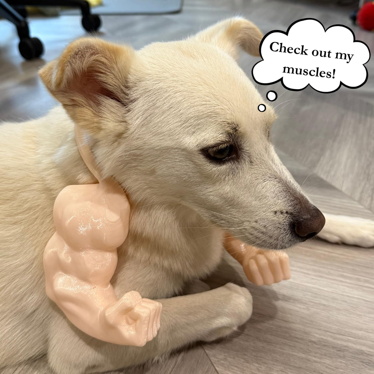 Cat/Dog Muscle Arm Costume, 3D Printed Cute Funny Accessory for Small Medium Pets Halloween Christmas Parties (Orange, M)