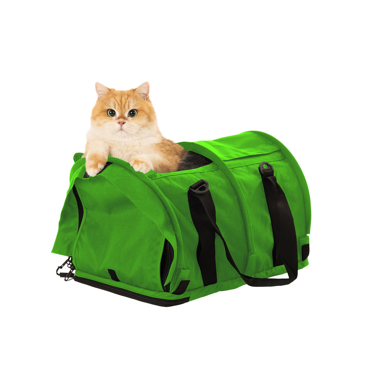 SturdiBag Pro 2.0 Pet Travel Carrier for Cats and Dogs | Soft Sided Pet Carrier Bag with Safety Clips and Seatbelt Straps for Car Travel | XL, Lime