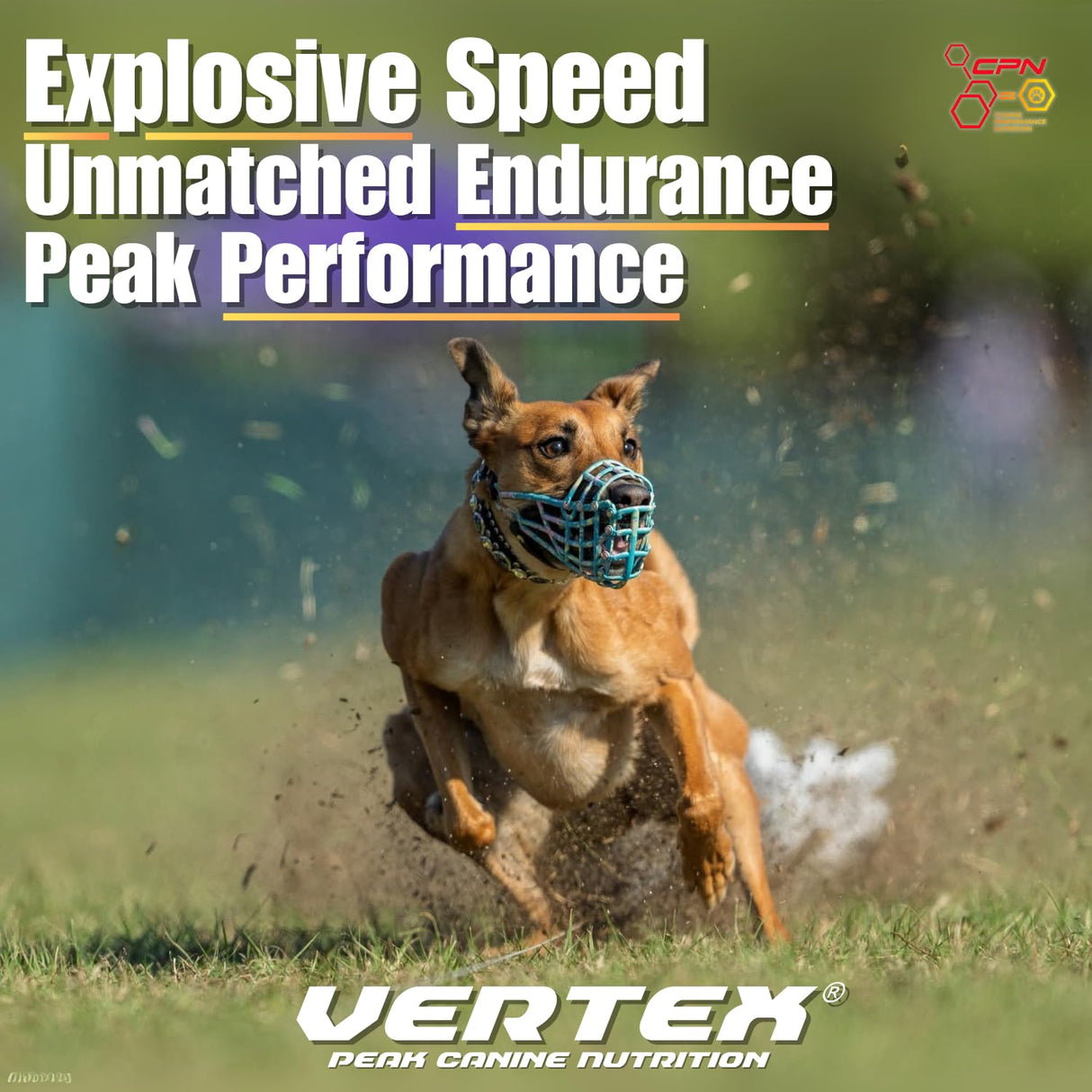 Vertex High-Performance Dog Supplement – Predigested Liver, Whey & Egg Protein – Supports Muscle, Recovery, Fertility, Digestion & Milk Production – Ideal for Working, Breeding & Active Dogs - 4LBS