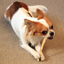 Load image into Gallery viewer, Fieldcrest Farms Nothin' to Hide Twist Stix, Beef Flavor, Easily Digestible, Supports Skin, Coat, Joints & Muscles, for Moderate Chewers Under 15lbs, 50 Pieces