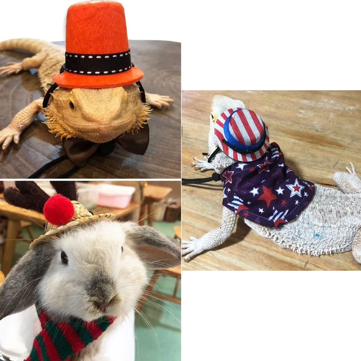 18Pcs Bearded Dragon Festival Costumes, Lizard Hats Clothes at Birthday Halloween Christmas, Festive Costume Accessories Set for Gecko Chameleon Iguana Hamster Ferret Reptile (Boy Set/18 Pcs)