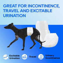Load image into Gallery viewer, HONEY CARE All-Absorb A26 Male Dog Wrap, 50 Count, Small