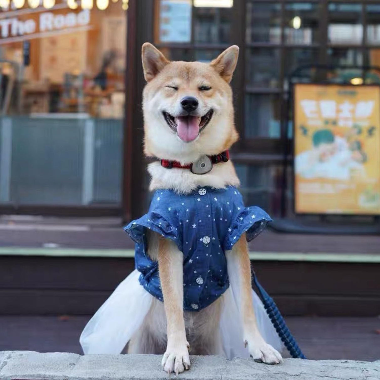 Polka Dot Big Large Dog Princess Dress Tutu Skirt Golden Retriever Pitbull Summer Dog Clothes Hoodie Costume (XL, Blue)