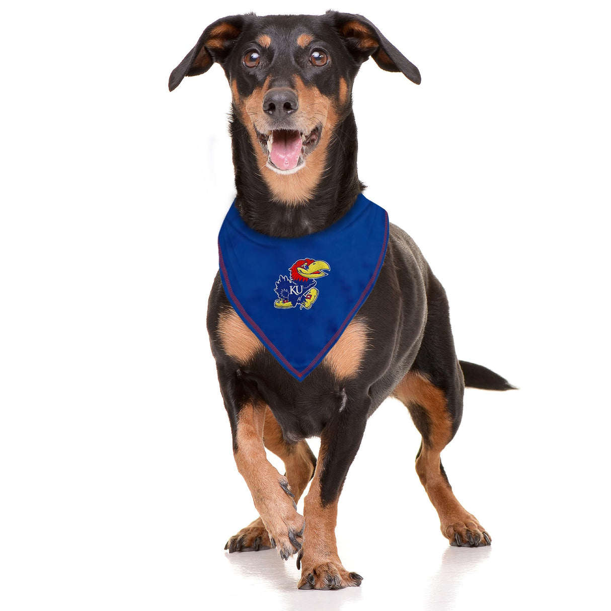 Pets First NCAA Kansas Jayhawks TIE Bandana, Size Large/X-Large. Dog Bandana Scarf Bib for Pet Cat Dog. The Ultimate Game-Day, Party Bandana