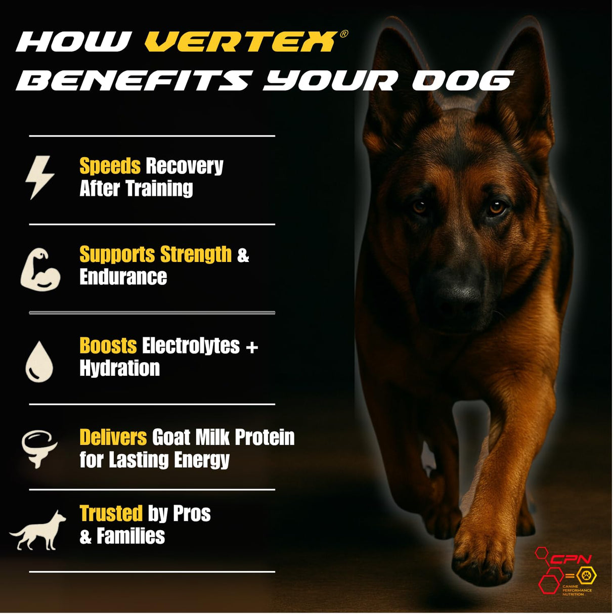 Vertex High-Performance Dog Supplement – Predigested Liver, Whey & Egg Protein – Supports Muscle, Recovery, Fertility, Digestion & Milk Production – Ideal for Working, Breeding & Active Dogs - 4LBS
