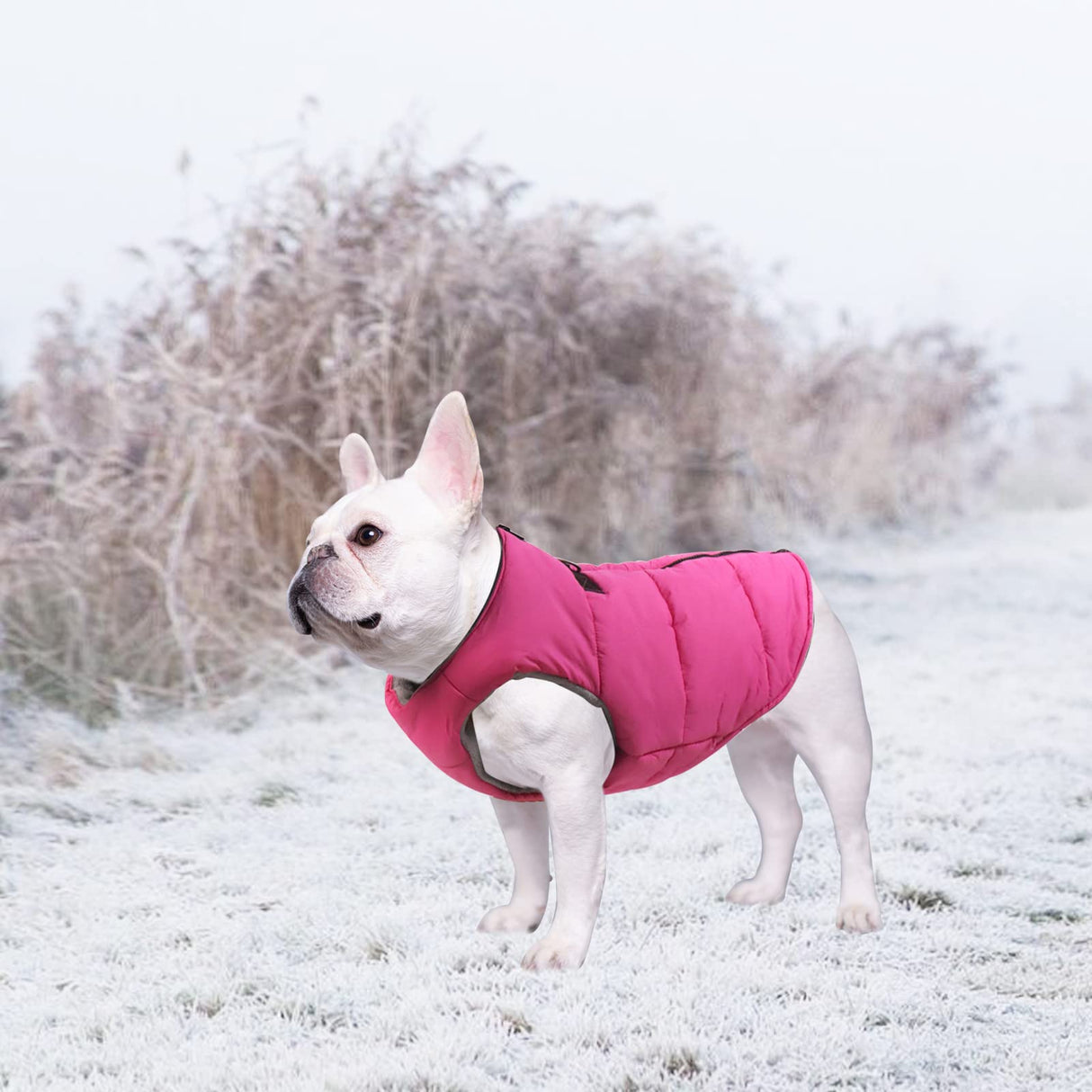 Dog Bulldog Clothes Dog Cotton Padded Coat Thick Winter Warm Vest Waistcoat Cold Weather Jacket Clothing for French Bulldog Coat-Pink-L