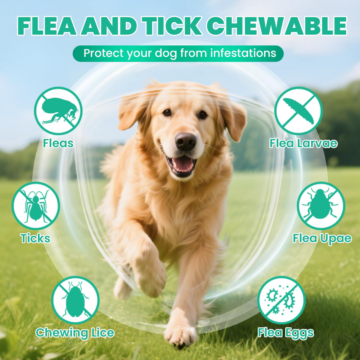 Flea and Tick Prevention for Dogs Chewable, 200 Natural Soft Chews Oral Flea and Tick Supplement for Dogs Puppies, All Breeds & Sizes - Chicken Flavor