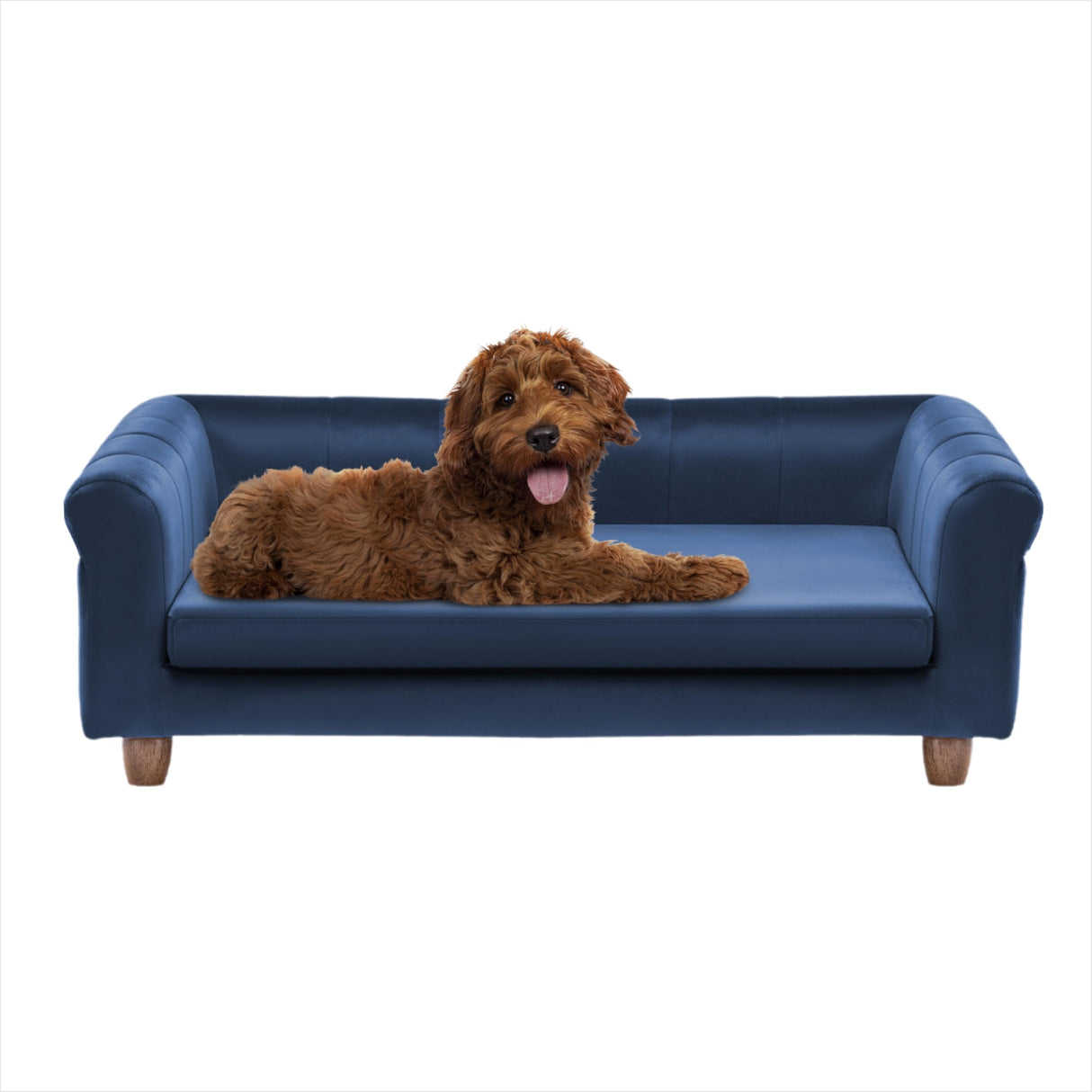 CRITTER SITTERS 42-in. Elegant Navy Faux-Velvet Rectangular Dog Sofa for Medium and Large Dogs, Elevated Plush Dog Couch