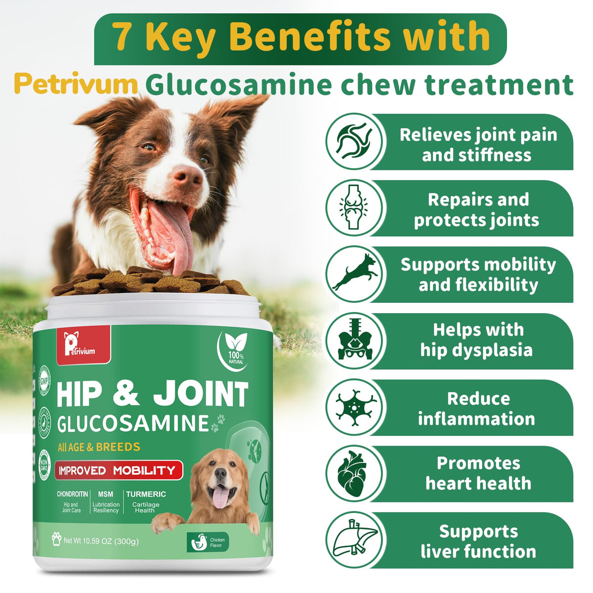 Hip and Joint Supplement for Dogs, Glucosamine Treats Chews with Chondroitin, MSM, Turmeric - Support Joint Pain Relief, Mobility, Reduce Occasional Discomfort, Fit All Ages and Breeds, 150 Soft Chew