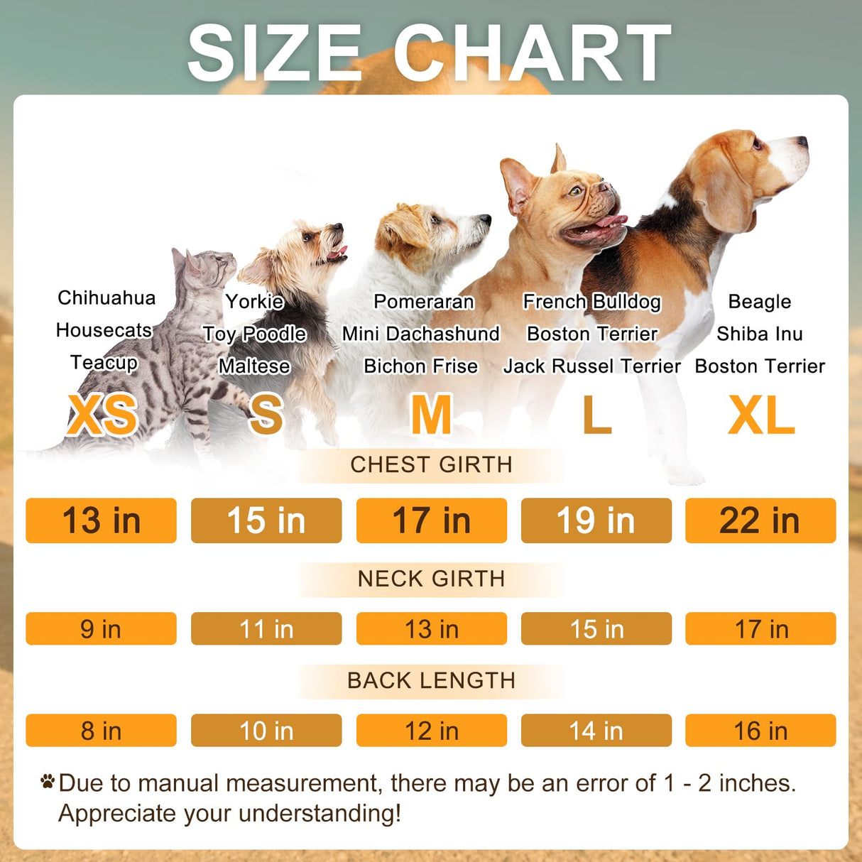 BEAUTYZOO Small Dog Sweater Fleece Vest Winter Jacket, D-Ring Leash Attachment for XS S Puppy Medium Sized Breeds Dogs, Cold Weather Dog Clothes Windproof Keep Warm, Black Bones Paw L