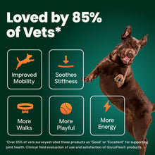 Load image into Gallery viewer, VetriScience Extra Strength Healthy Hip & Joint Chewable Tablets, GlycoFlex Glucosamine and Green-Lipped Mussel Joint Support Supplement for Dogs, Soothe Joint Discomfort, Chicken, 120 Count