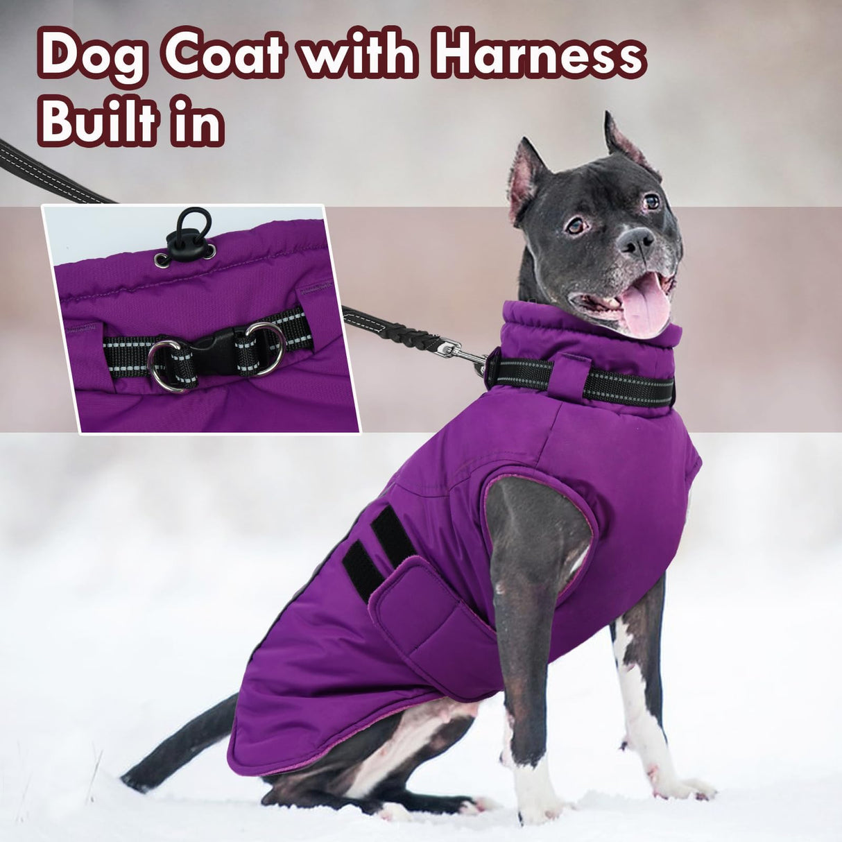 IKIPUKO Large Dog Jacket, Waterproof Winter Coat with Harness Built in, Reflective Adjustable Hook&Loop Dog Snowsuit Cold Weather, Warm Snow Coat for Dogs French Bulldog, L Purple