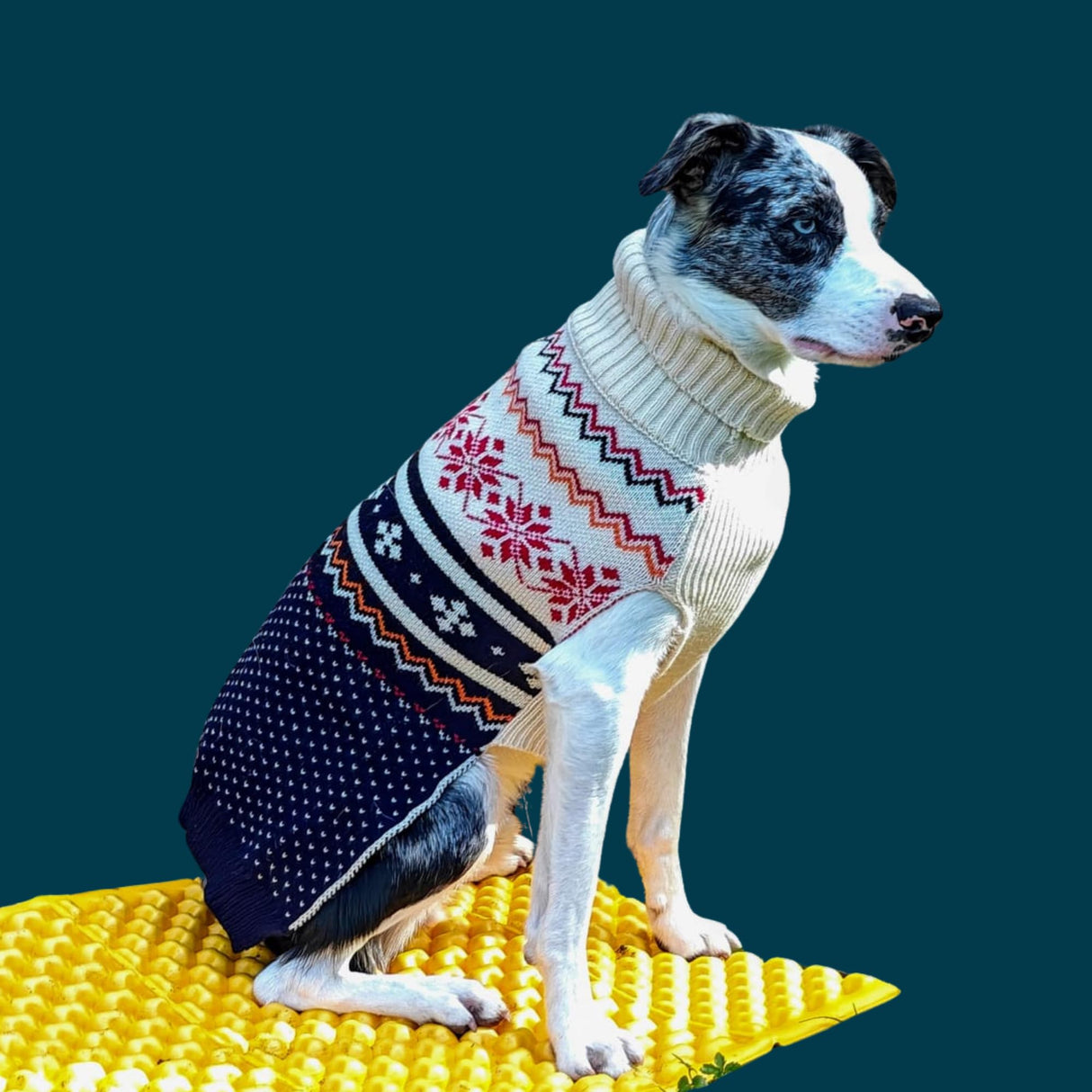 Cozy Acrylic Dog Sweater for Outdoor Adventures—Breathable & Insulating Knit—Classic Fit—Backpacking Gear for Dogs—Dog Hiking Gear—Dog Camping Gear (Large, Nordic)