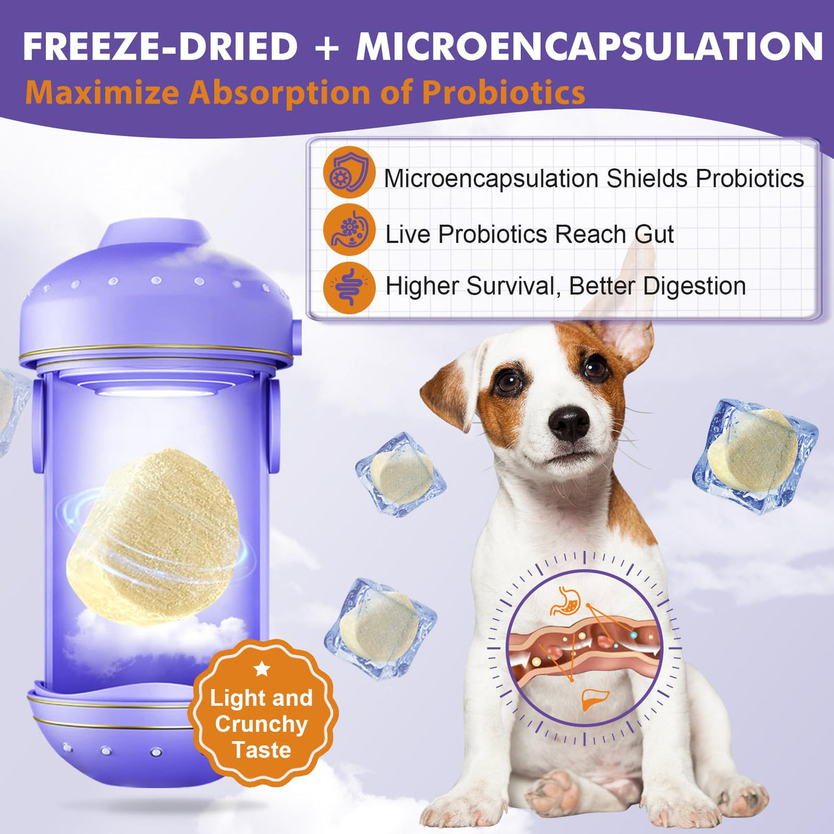 DRFOSTER Probiotics for Dogs, Freeze-Dried Dog Probiotics and Digestive Enzymes, Plus Omega-3 for Itchy Skin, Prebiotics for Digestive Health, Dog Vitamins and Supplements for Immune Health, 180 Bites