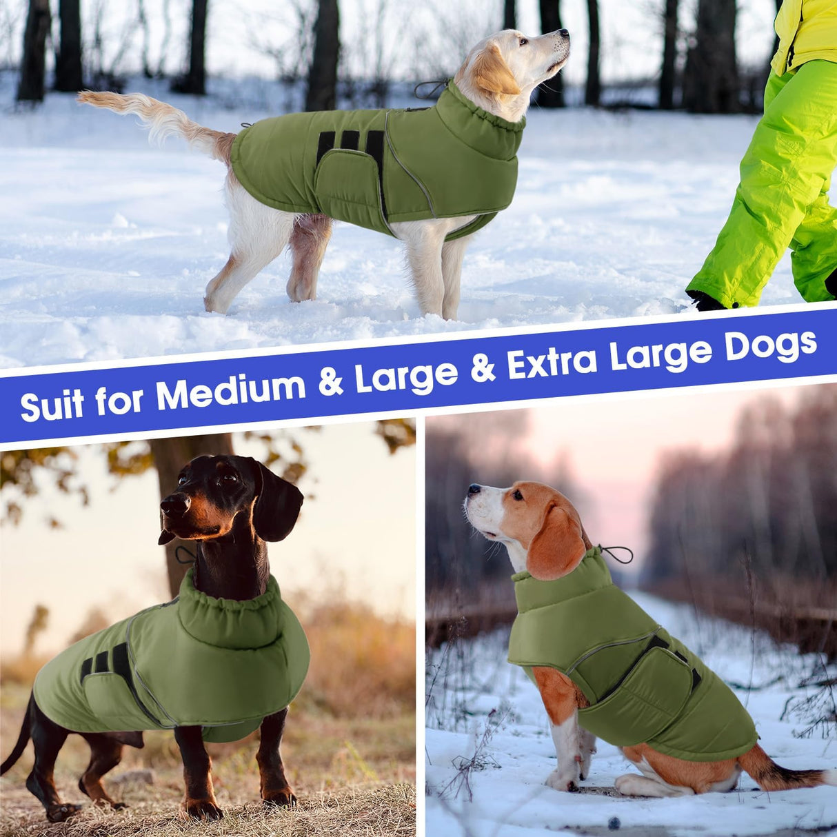 ASENKU Extra Warm Dog Coat - Winter Fleece Jacket with Reflective Adjustable Zippered Leash Hole for Medium Dogs (Green, L)