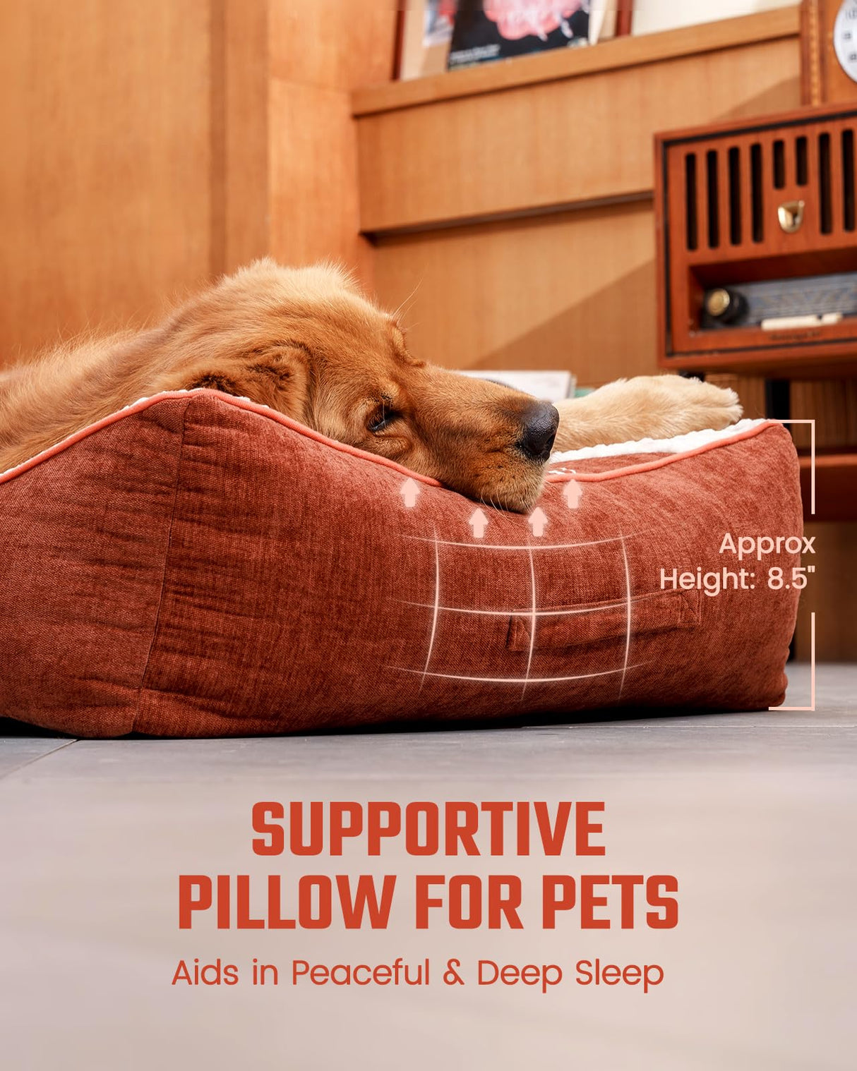 Pawccoli Dog Beds Large Sized Dog - Comfy Flat Pet Beds with Removable Washable Cover, Orthopedic Foam Puppy Mat with Pillow Suitable for Pet Up to 65 lbs(36''×24''×5'')