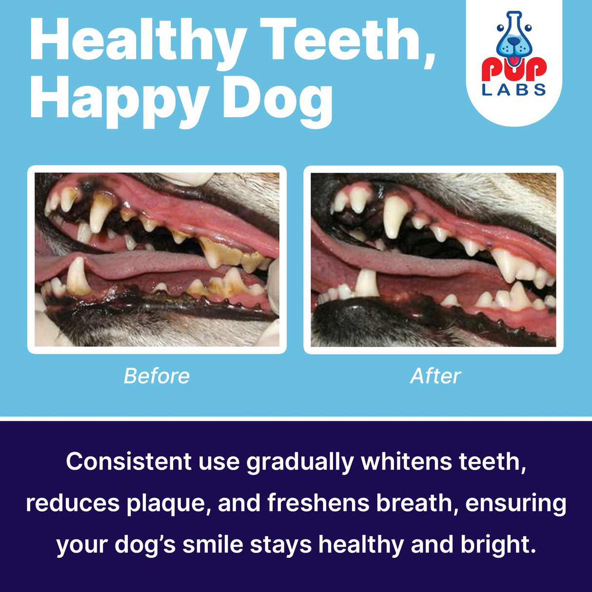 Pup Labs ProDenta, All-Natural Dog Dental Powder for Teeth Cleaning, Dental Powder for Dogs Teeth with Breath Freshener. Easy to use for Tartar Removal and Leaky Gums. Made in USA, 30 Servings