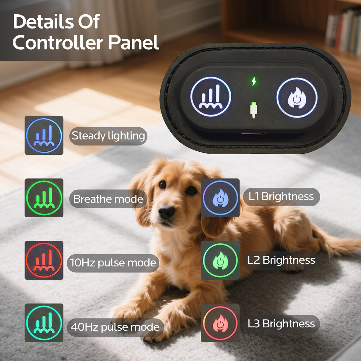 Red Light Therapy for Dogs,Wearable Infrared Light Therapy Belt for Pets Wounds Repair,Joint & Back Pain Relief,12.8 × 6.8 in 660/850 nm 80-LED Pad